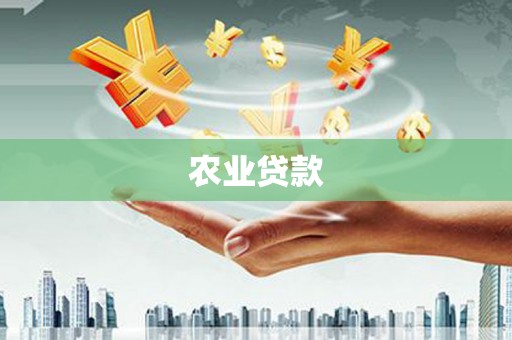 景谷农业贷款