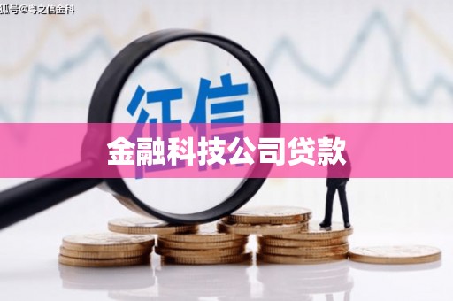 景谷金融科技公司贷款