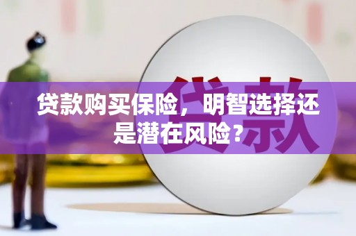 景谷贷款购买保险，明智选择还是潜在风险？