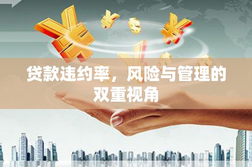 景谷贷款违约率，风险与管理的双重视角