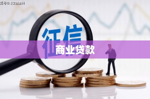 景谷商业贷款