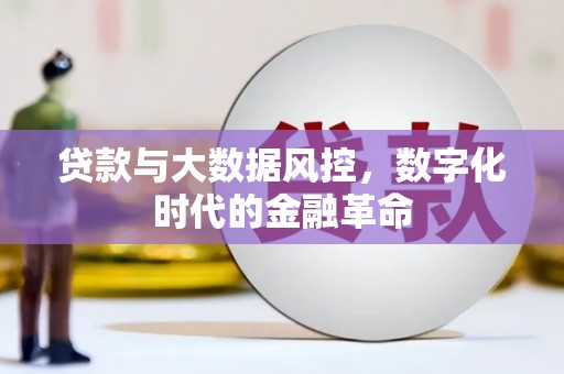 景谷贷款与大数据风控，数字化时代的金融革命