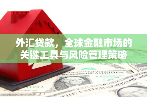 景谷外汇贷款，全球金融市场的关键工具与风险管理策略