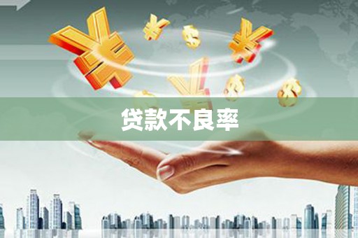 景谷贷款不良率