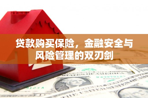 景谷贷款购买保险，金融安全与风险管理的双刃剑