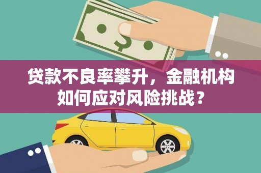 景谷贷款不良率攀升，金融机构如何应对风险挑战？