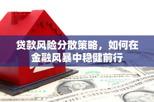 景谷贷款风险分散策略，如何在金融风暴中稳健前行