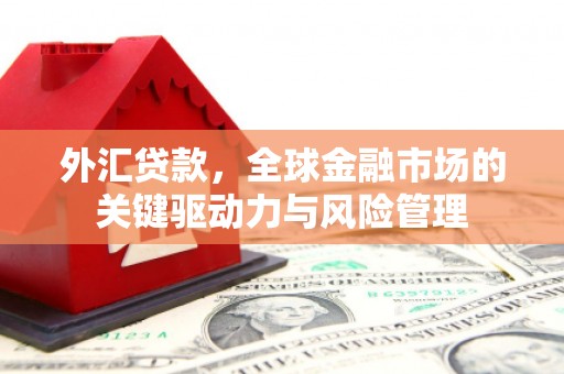 景谷外汇贷款，全球金融市场的关键驱动力与风险管理