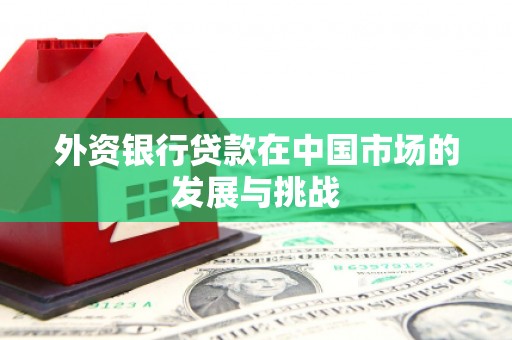 景谷外资银行贷款在中国市场的发展与挑战