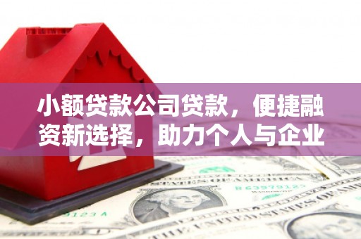 景谷小额贷款公司贷款，便捷融资新选择，助力个人与企业成长