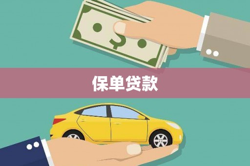 景谷保单贷款