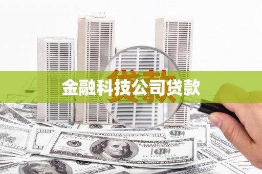 景谷金融科技公司贷款