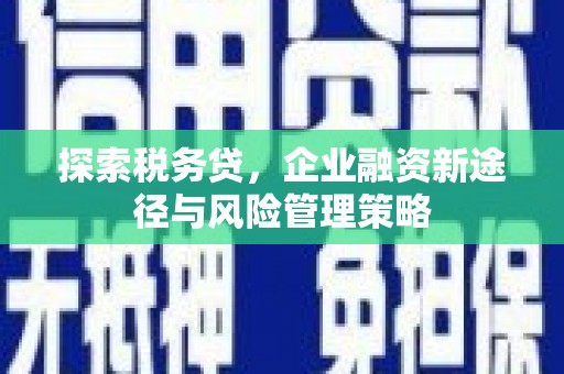 景谷探索税务贷，企业融资新途径与风险管理策略