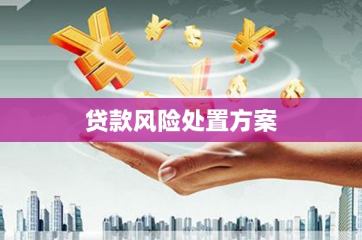 景谷贷款风险处置方案