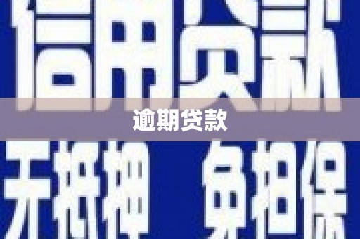 景谷逾期贷款