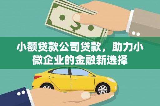景谷小额贷款公司贷款，助力小微企业的金融新选择