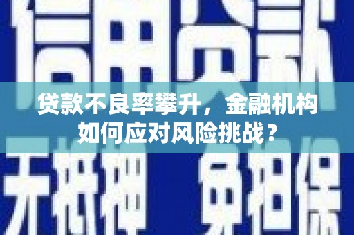 景谷贷款不良率攀升，金融机构如何应对风险挑战？