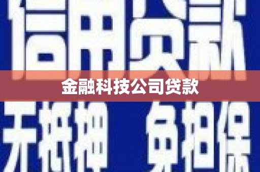 景谷金融科技公司贷款