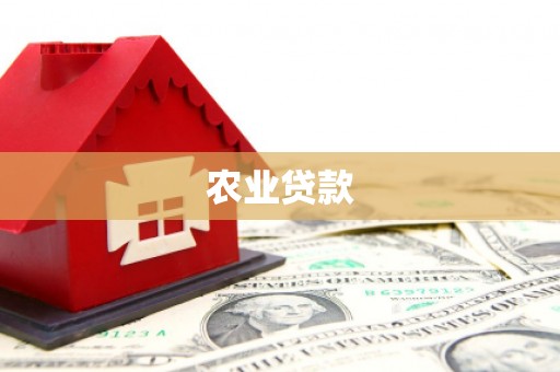 景谷农业贷款