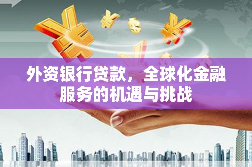 景谷外资银行贷款，全球化金融服务的机遇与挑战