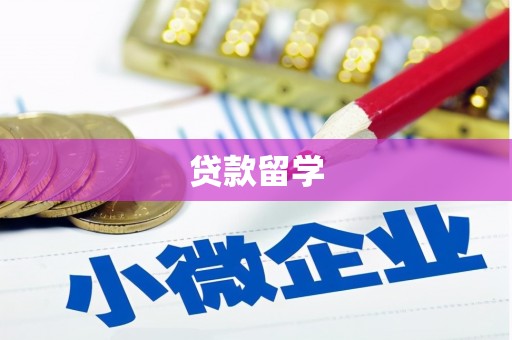 景谷贷款留学