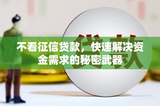 景谷不看征信贷款，快速解决资金需求的秘密武器