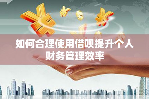 景谷如何合理使用借呗提升个人财务管理效率