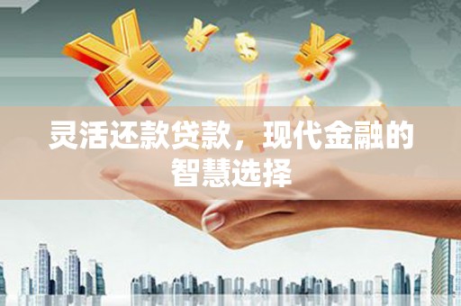 景谷灵活还款贷款，现代金融的智慧选择