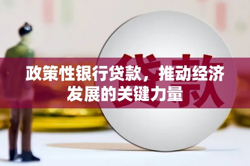 景谷政策性银行贷款，推动经济发展的关键力量