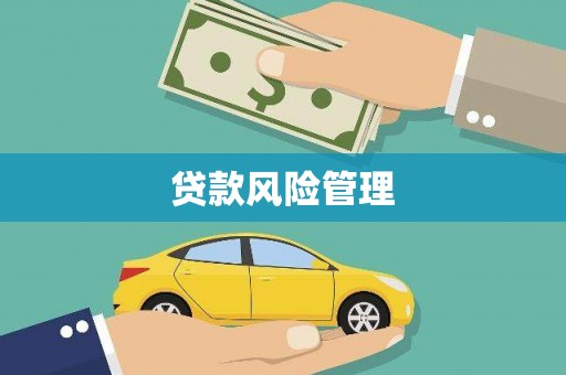 景谷贷款风险管理
