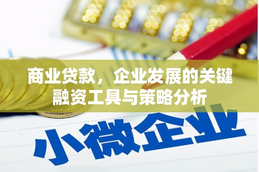 景谷商业贷款，企业发展的关键融资工具与策略分析