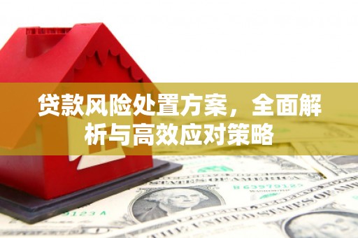 景谷贷款风险处置方案，全面解析与高效应对策略