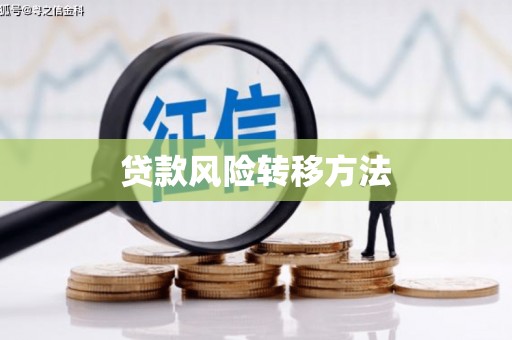 景谷贷款风险转移方法