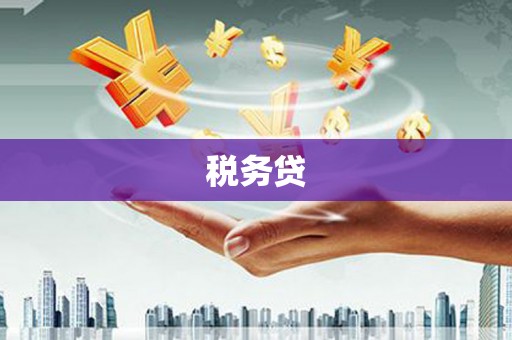 景谷税务贷