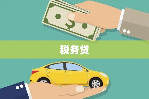 景谷税务贷