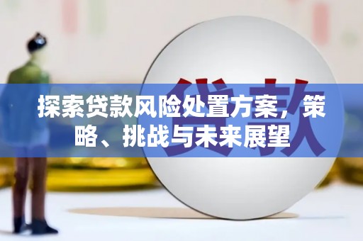 景谷探索贷款风险处置方案，策略、挑战与未来展望