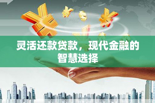景谷灵活还款贷款，现代金融的智慧选择