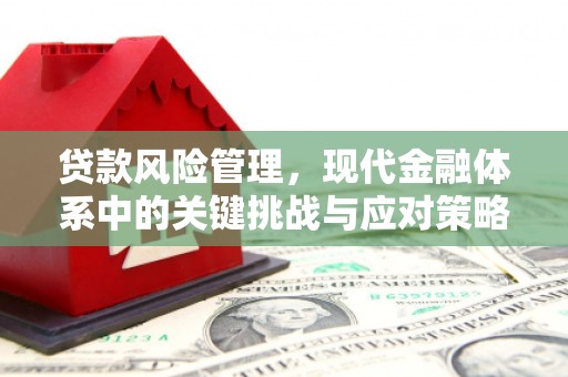 景谷贷款风险管理，现代金融体系中的关键挑战与应对策略