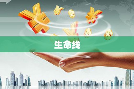 景谷生命线