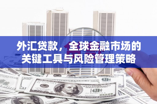 景谷外汇贷款，全球金融市场的关键工具与风险管理策略