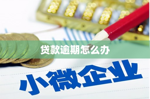 景谷贷款逾期怎么办