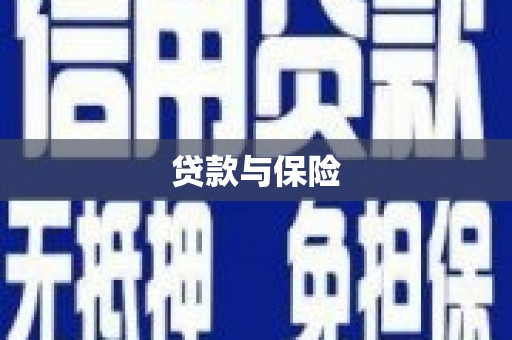 景谷贷款与保险