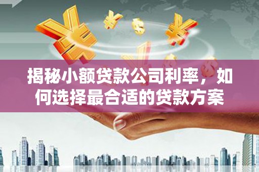 景谷揭秘小额贷款公司利率，如何选择最合适的贷款方案