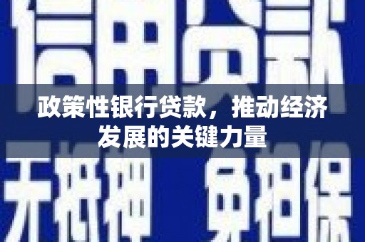 景谷政策性银行贷款，推动经济发展的关键力量