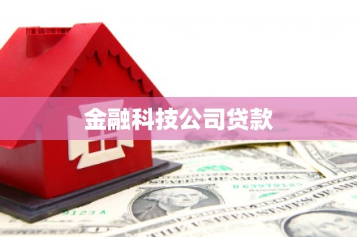 景谷金融科技公司贷款