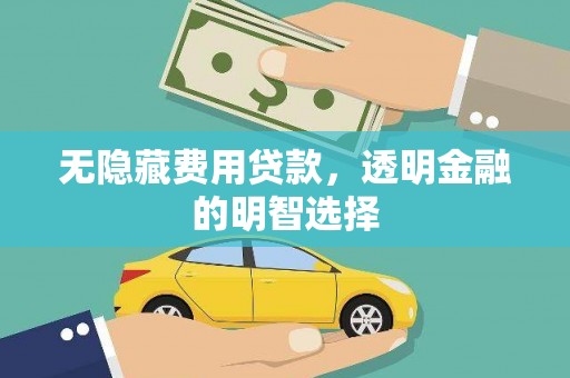 景谷无隐藏费用贷款，透明金融的明智选择