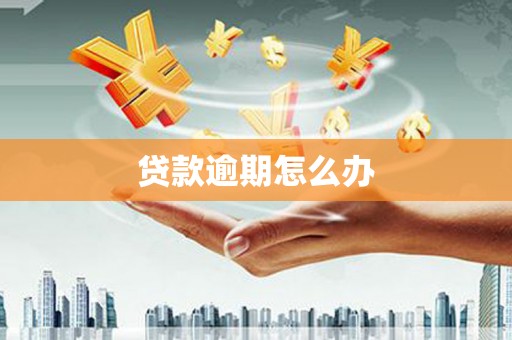 景谷贷款逾期怎么办