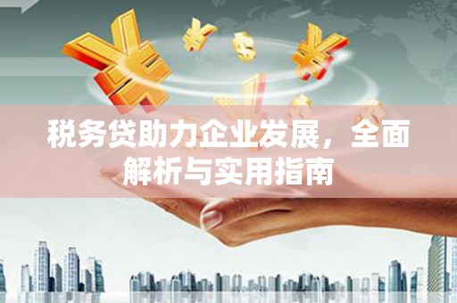 景谷税务贷助力企业发展，全面解析与实用指南