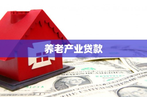 景谷养老产业贷款