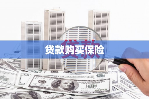 景谷贷款购买保险